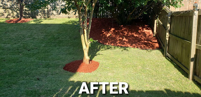 Sod Install Summerville